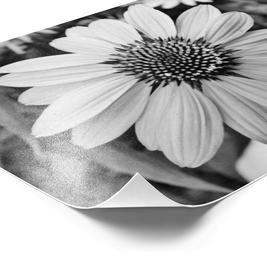 Impression photographique 5x7 (Coin)