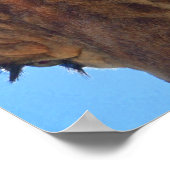 Impression photographique de la girafe - gros plan (Coin)