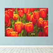 Impression photographique des tulipes rouges. (Insitu (Plancher de Bois))