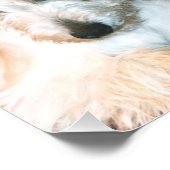 Impression photographique écossaise (Coin)