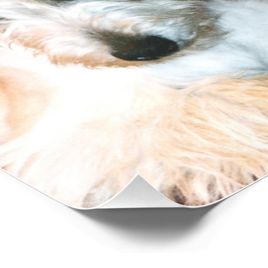 Impression photographique écossaise (Coin)