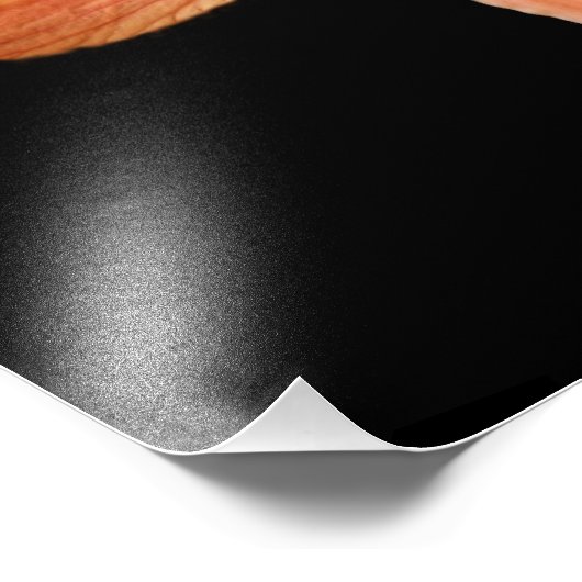 Impression photographique 'Tiger Lily' (Coin)