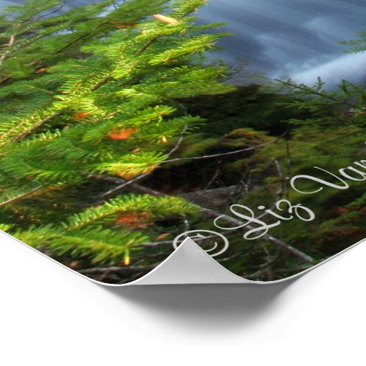 Impression pittoresque (Coin)