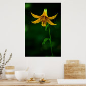 Impression Poche étoile (Cuisine)