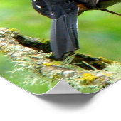 Impression pointé vers le haut (Coin)