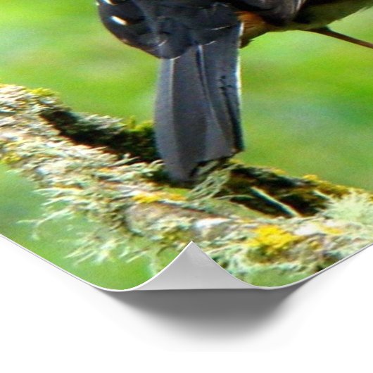 Impression pointé vers le haut (Coin)