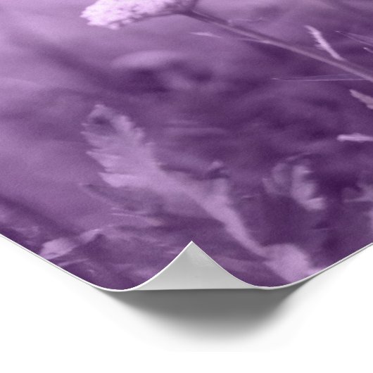 impression pop-i violet (Coin)