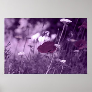 impression pop-i violet