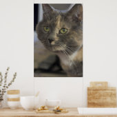 Impression Portrait de chat (Cuisine)