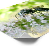 Impression Portrait-Taille Hornet à visage blanc (Coin)