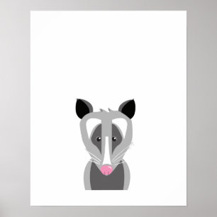 Impression Possum