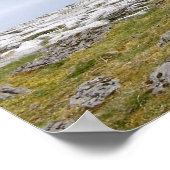 Impression Poulnabrone (Coin)