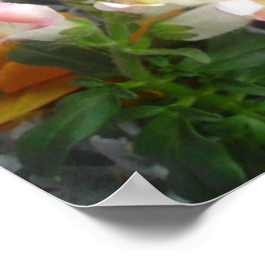 Impression Pretty Pansy (Coin)