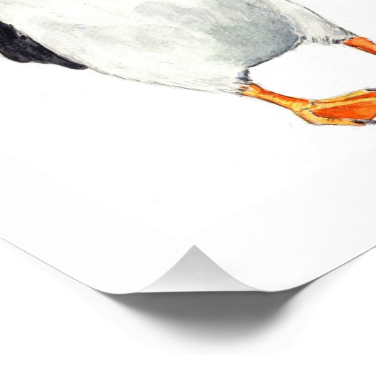 Impression Puffin (Coin)