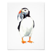 Impression Puffin (Devant)