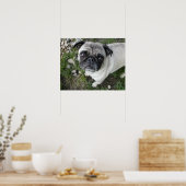 Impression Pug et galets (Cuisine)