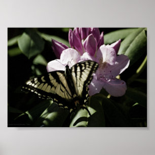 Impression Queue de Hirondelle & Rhododendron