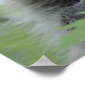 Impression Raccoon - #1028 (Coin)