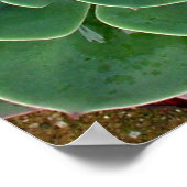 Impression réussie (Coin)