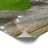 Impression robotique américaine (Coin)