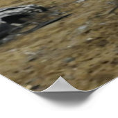 Impression rock (Coin)