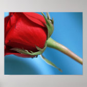Impression rose (Devant)