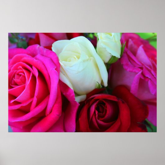Impression rose (Devant)