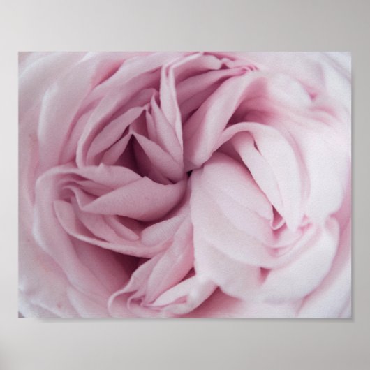 Impression rose | art de la paroi florale (Devant)