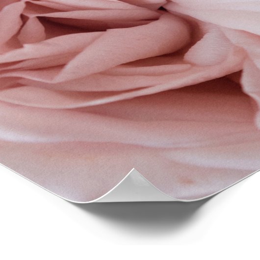 Impression rose | art de la paroi florale (Coin)