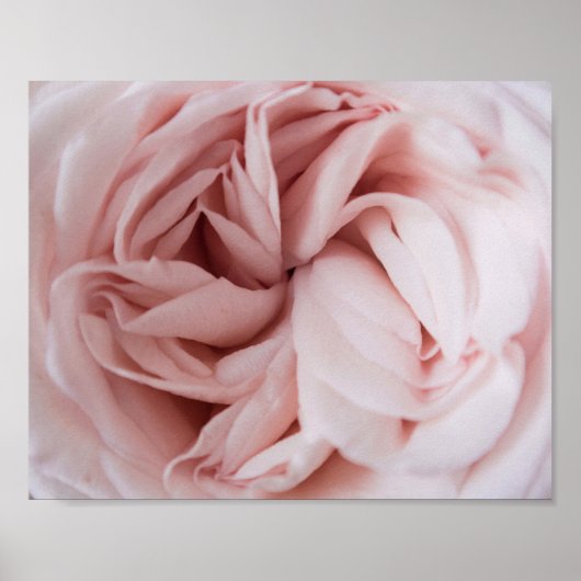 Impression rose | art de la paroi florale (Devant)