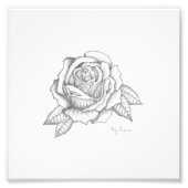 Impression Rose crayon - papier fini satiné (Devant)