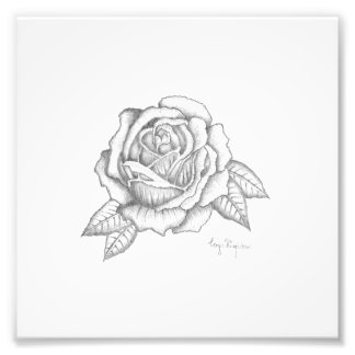 Impression Rose crayon - papier fini satiné