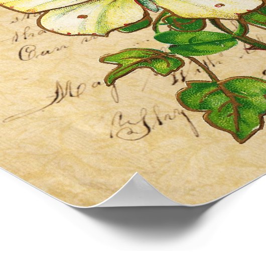 Impression rose et papillon (Coin)