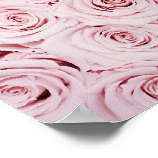 impression rose | fleurs murales (Coin)