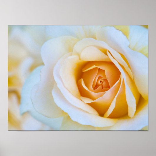 Impression rose, papier d'affiche de valeur (Matte (Devant)