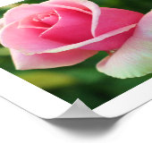 Impression rose rose rose (Coin)