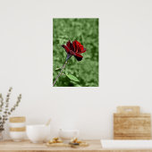 Impression Rose Rouge (Cuisine)