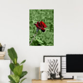 Impression Rose Rouge (Bureau à domicile)