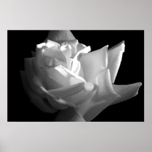 Impression Rose spectaculaire