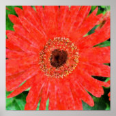 Impression rouge (Devant)