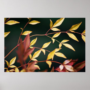 Impression rouge et or