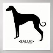 Impression Saluki (Devant)