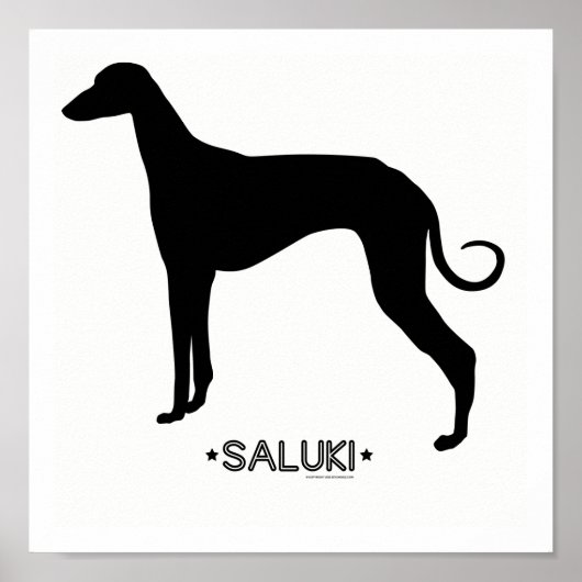 Impression Saluki (Devant)