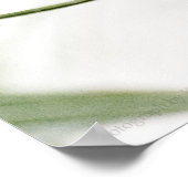 Impression Sara (Coin)