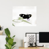 Impression Sara (Bureau à domicile)