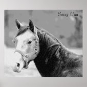 Impression Sassy Una (Devant)