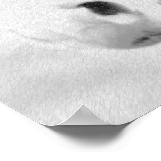 Impression Sassy Una (Coin)