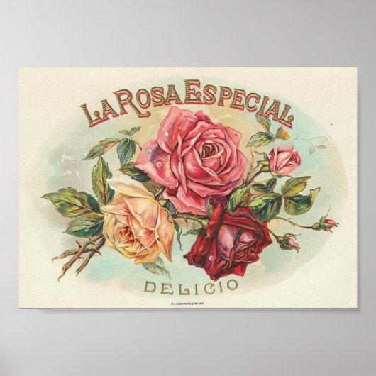 Impression savonneuse vintage (Devant)