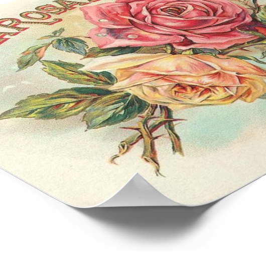 Impression savonneuse vintage (Coin)