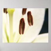 Impression sérielle (Devant)